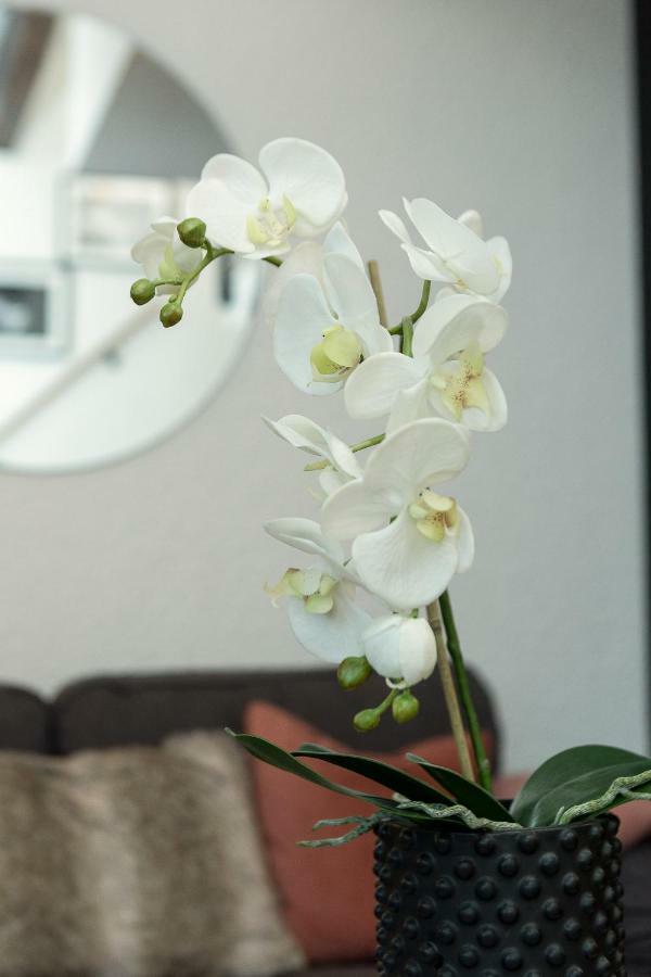 Midi Loft - A Mountain Haven Apartamento